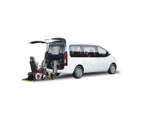 Handicapped Vehicles