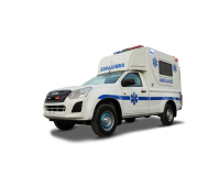 Isuzu Boxtype